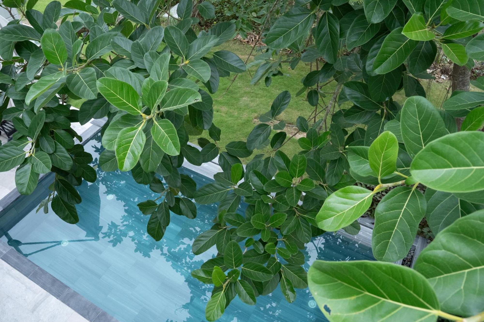 "Brg Golf Club" - Danang Private Pool Villa 3 Bedrooms #3 外观 照片